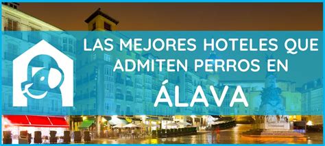 10 mejores hoteles que admiten mascotas en Puebla .